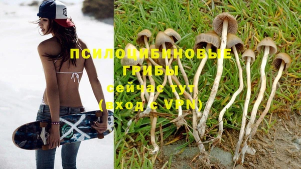 ПСИЛОЦИБИНОВЫЕ ГРИБЫ Беломорск