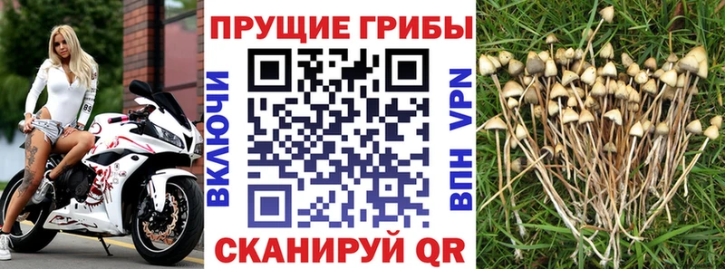 Галлюциногенные грибы ЛСД  Кириши 